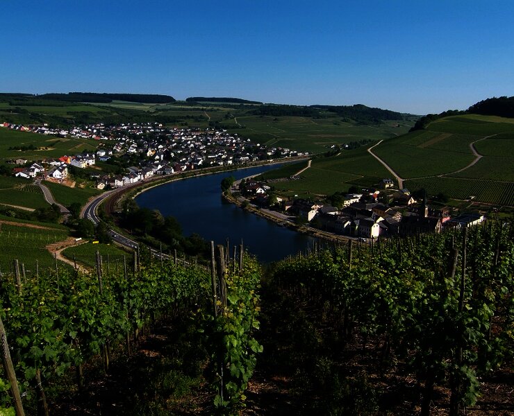 Moselsteig an der Obermosel