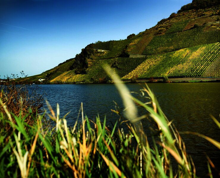 Urlauf an der Mosel in Wintrich