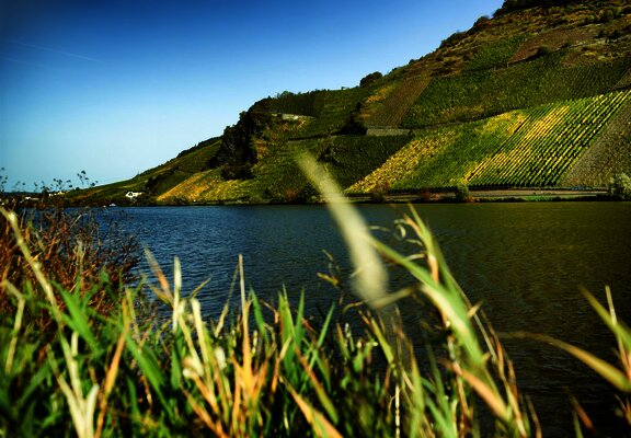 Urlauf an der Mosel in Wintrich