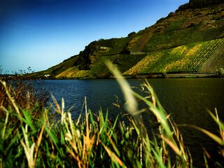 Urlauf an der Mosel in Wintrich