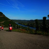 Roller Touren im Weinberg