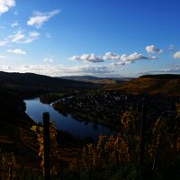 Ausblick von der Burg in Richtung Kues