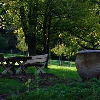 Auf dem Obstartweg in Wehlen