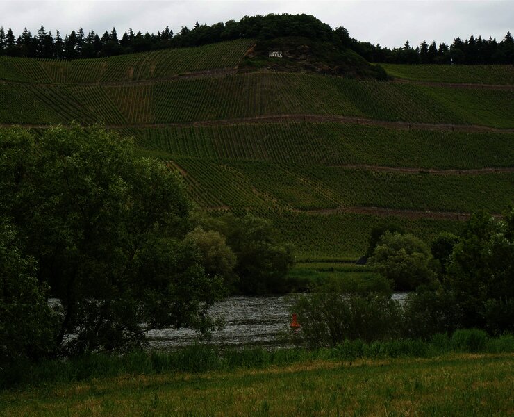 Mosel und Weinberge