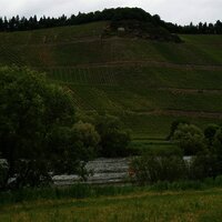 Mosel und Weinberge