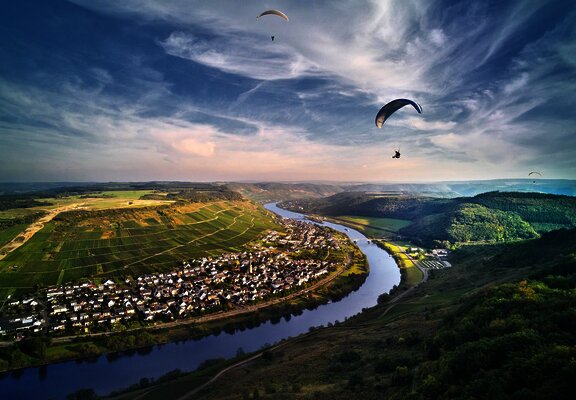 Landschaft Zeltingen-Rachtig