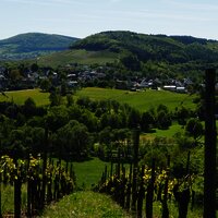 Inmitten von Weinbergen und Wiesen