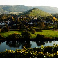 Mülheim an der Mosel