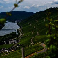 Der Josephshof in Graach