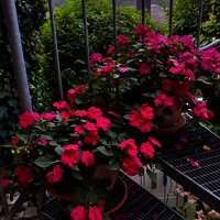 2026-01-25 at 16.27.38