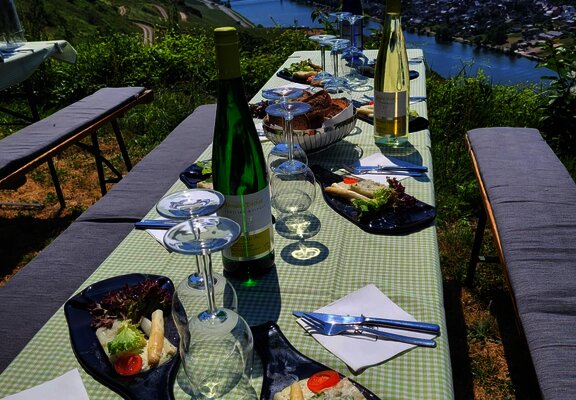 Picknick im Weinberg