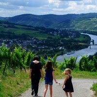Weingut Gindorf Spaziergang in den Weinbergen