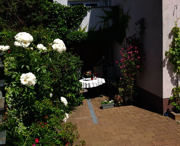 MediterranaTerrasse vorne