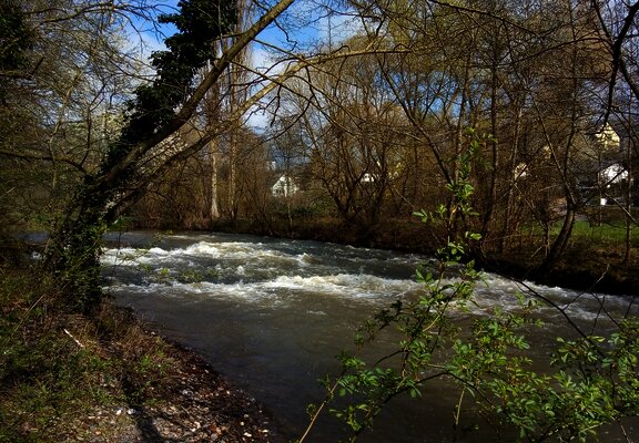 Stromschnellen im Lieserbach bei Maring