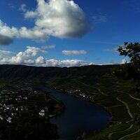 Blick vom Donatus auf die Piesporter Moselschleife