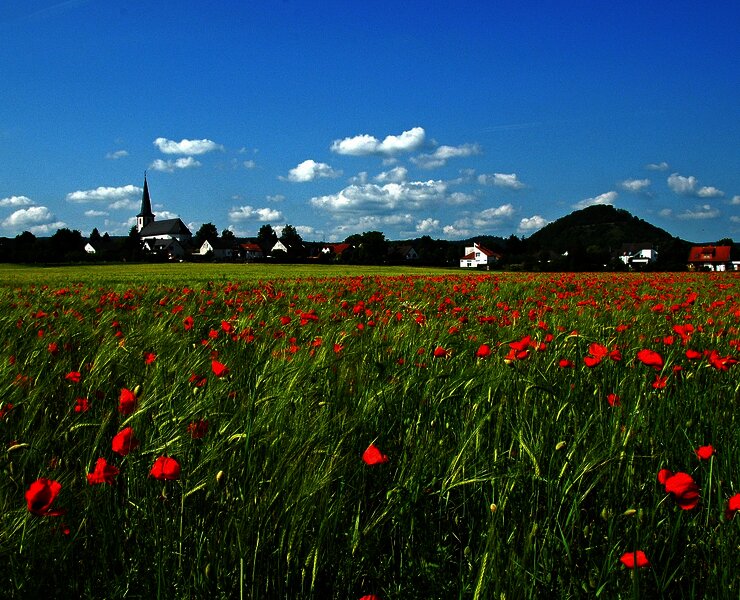 Felderlandschaft entlang des Weges