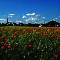 Felderlandschaft entlang des Weges