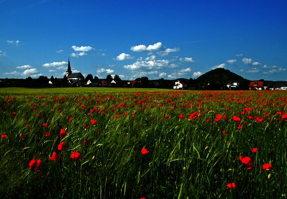 Felderlandschaft entlang des Weges