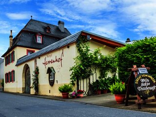 Weingut Herrenhof