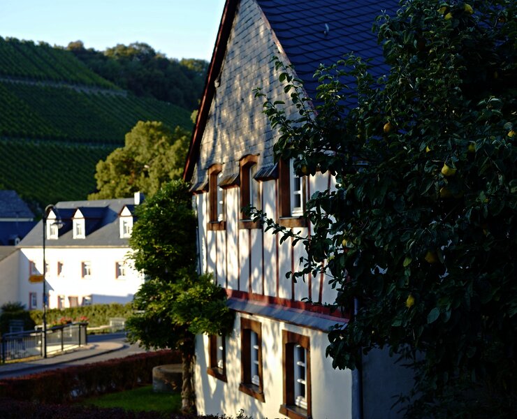 Fachwerkhaus in Burgen