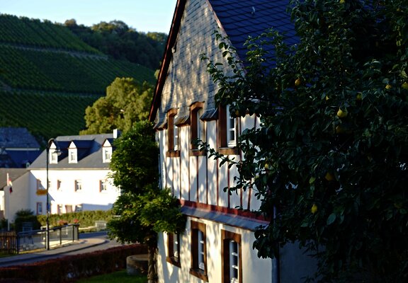 Fachwerkhaus in Burgen