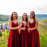 Weinhochheiten