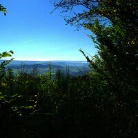 Flora und Fauna auf dem Kueser Plateau