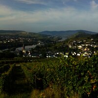 Aussicht auf  die Weinorte Lieser und Mülheim