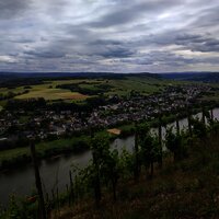 Blick auf Brauneberg