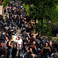 Harley und Wein an der Mosel