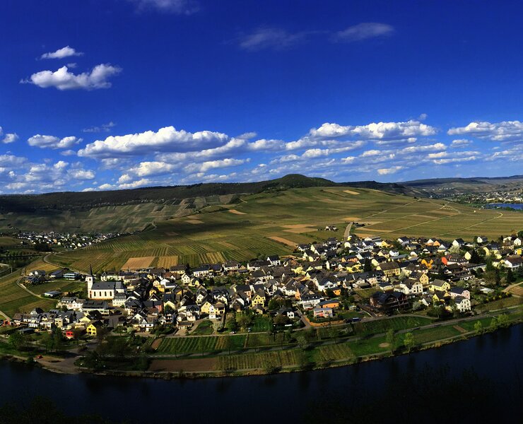 Panorama_MinheimerKreuz