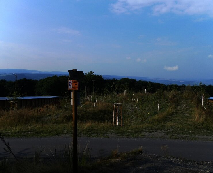 Wildbrücke über die B50neu am Graacher Schanzen