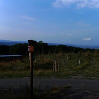 Wildbrücke über die B50neu am Graacher Schanzen