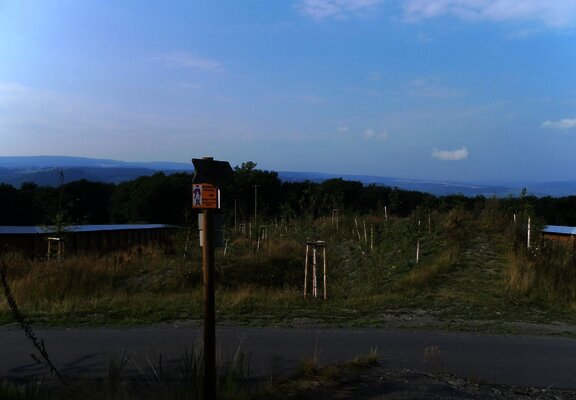 Wildbrücke über die B50neu am Graacher Schanzen