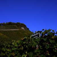 Weingut Paulinshof Kammer