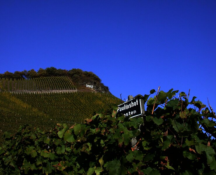 Weingut Paulinshof Kammer