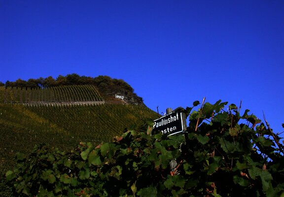 Weingut Paulinshof Kammer