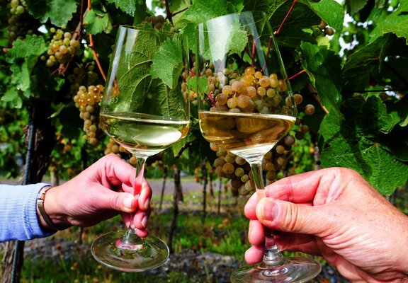 Weingenuss an der Mosel