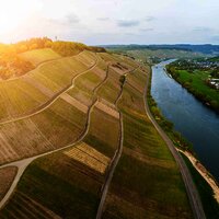 Drohne-Brauneberg_-(16)