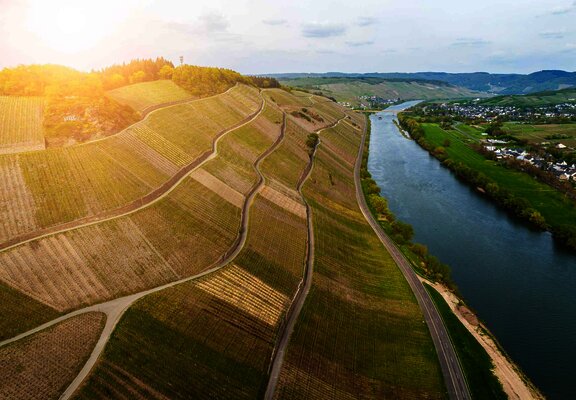 Drohne-Brauneberg_-(16)