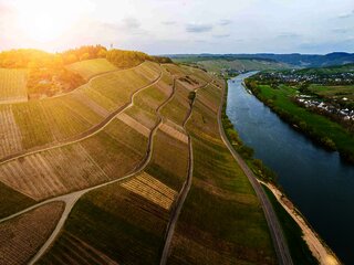 Drohne-Brauneberg_-(16)