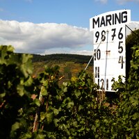 Maringer Sonnenuhr in den Weinbergen