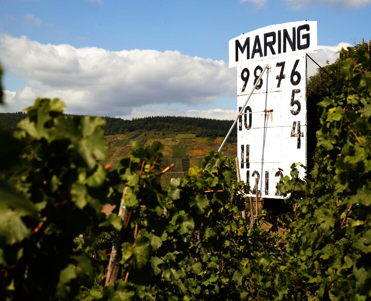 Maringer Sonnenuhr in den Weinbergen