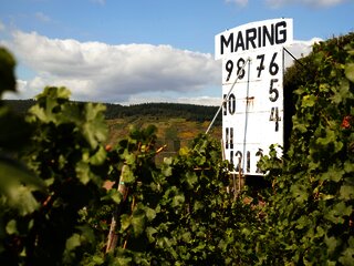 Maringer Sonnenuhr in den Weinbergen