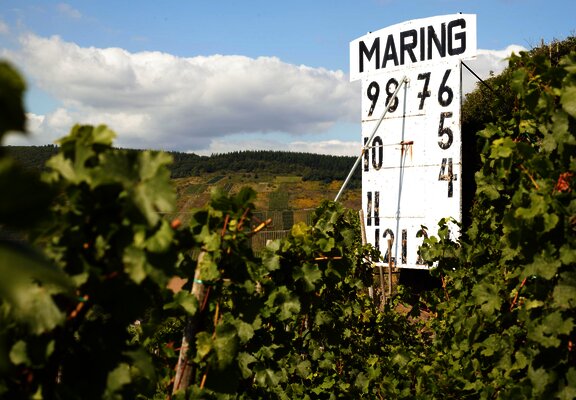 Maringer Sonnenuhr in den Weinbergen
