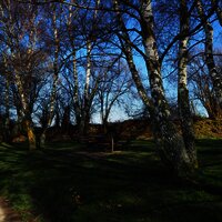 Rastmöglichkeit unter den Bäumen bei Longkamp
