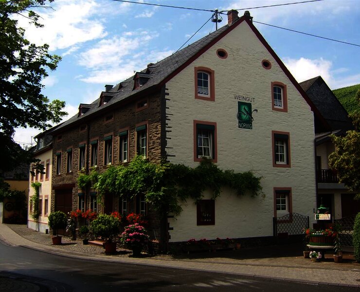 Weingut mit Weinbergen im Hintergrund