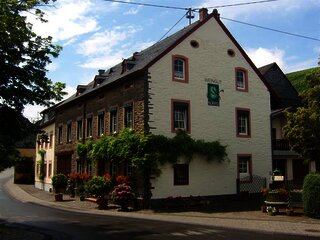Weingut mit Weinbergen im Hintergrund
