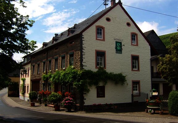 Weingut mit Weinbergen im Hintergrund