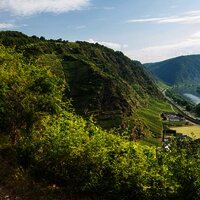 Kreuzweg zur Matthiaskapelle, Blick in die Koberner und Winninger Weinberge